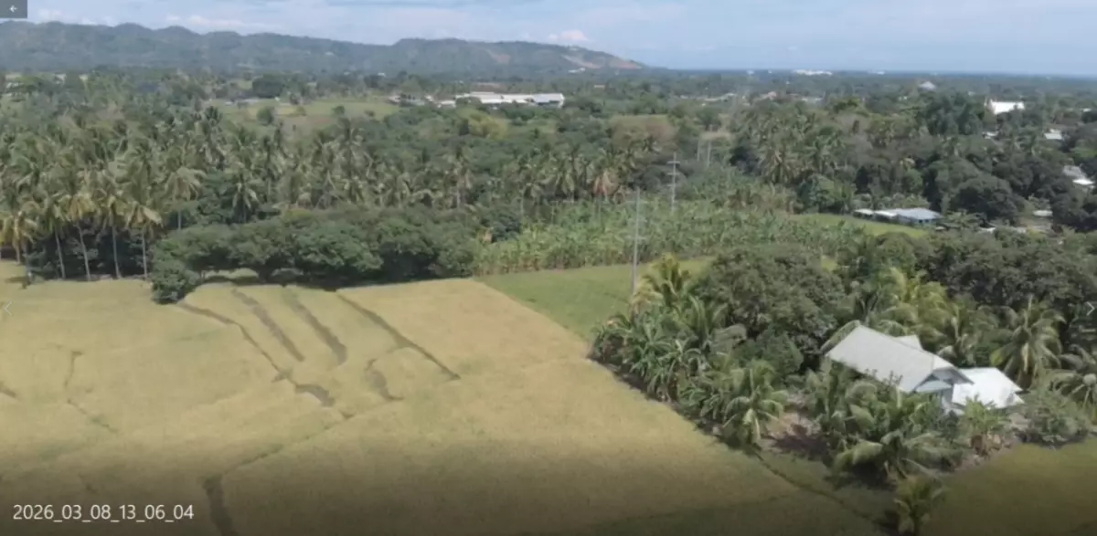For Sale: Agricultural Lot in Matti, Digos — 40000 sqm along road — Agricultural Lot in Digos, Davao del Sur, 8002 — Photo 6