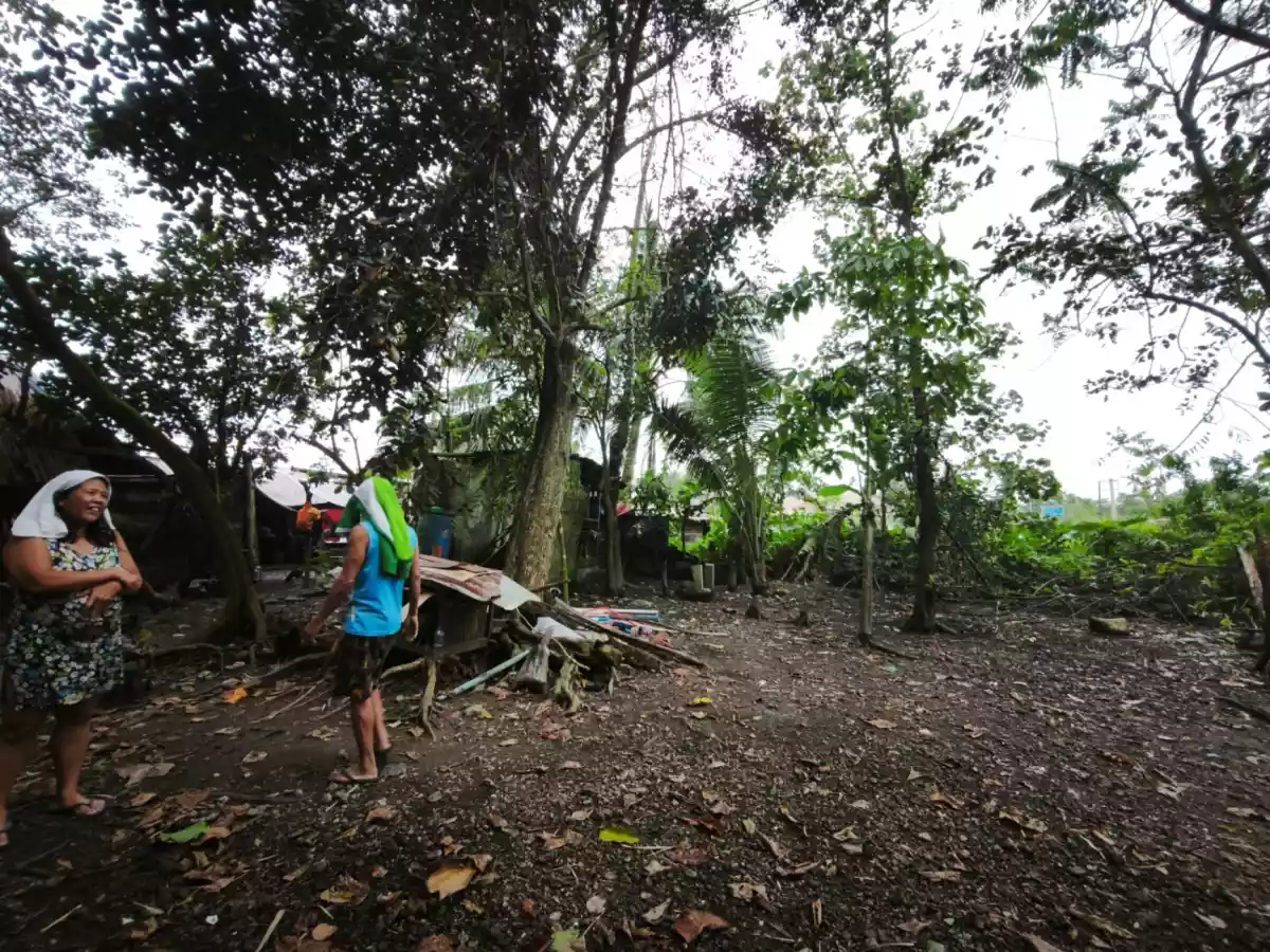 CORNER LOT FOR SALE (ALONG HIGHWAY) — Agricultural Lot in Guindapunan, Palo, Leyte — Photo 5