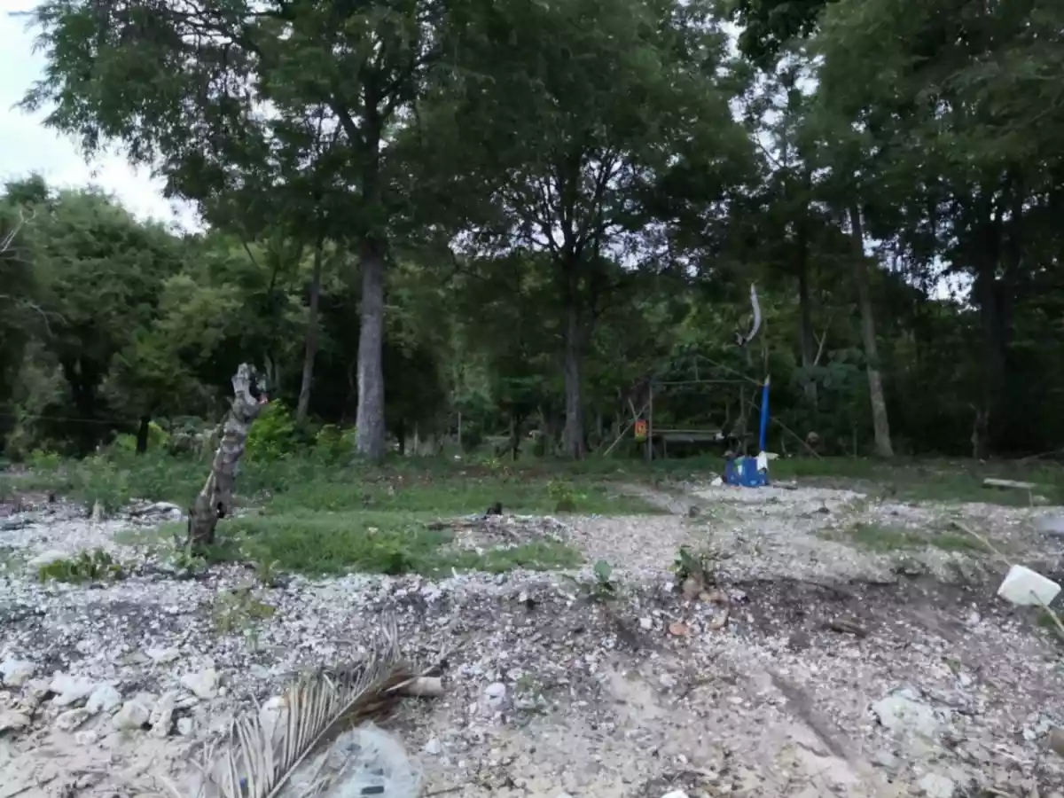 For Sale: Beach Lot in Binduyan, Puerto Princesa City — 6000 sqm — Beach Lot in Puerto Princesa City, Palawan, 5300 — Photo 7