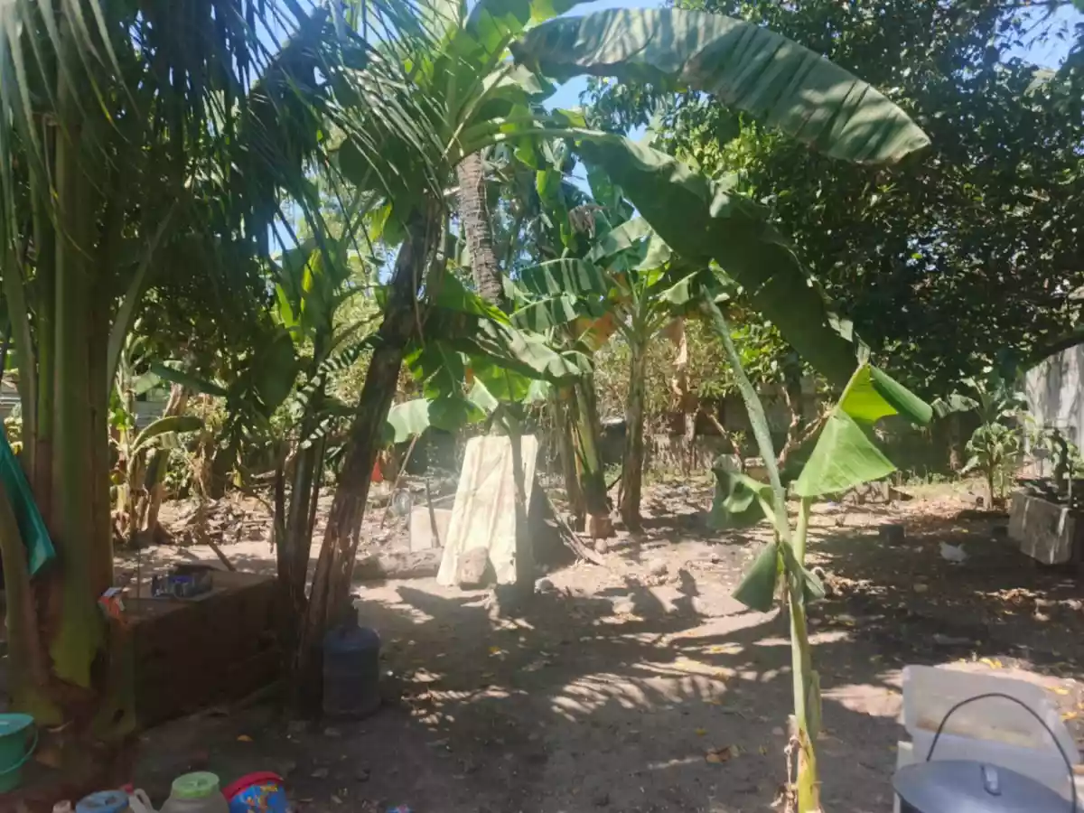 500 sqm Lot for Sale in Mohon, Talisay City- ONLY 5.5M - photo 5