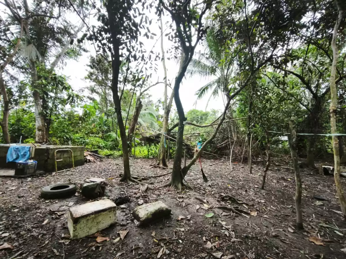 CORNER LOT FOR SALE (ALONG HIGHWAY) — Agricultural Lot in Guindapunan, Palo, Leyte — Photo 3