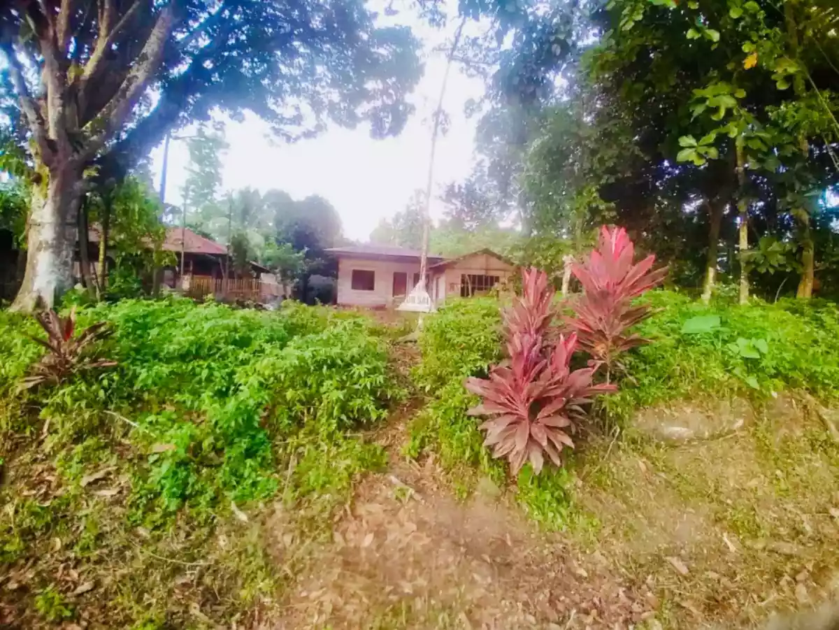 For Sale: Commercial Lot in Tupi South Cotabato – Along National Highway - photo 3