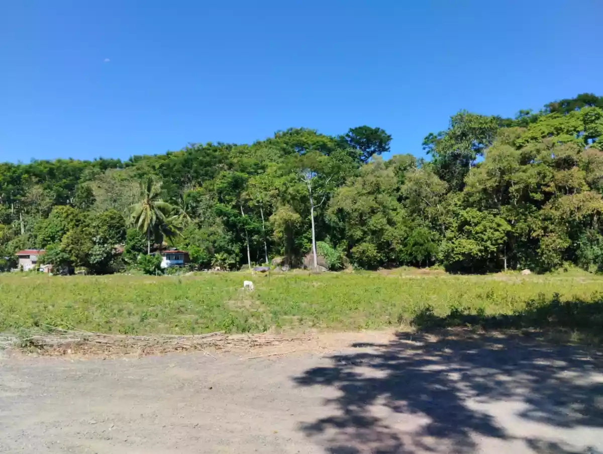 Farm Lot in Brgy. Linabo, Malaybalay City, Bukidnon, Philippines