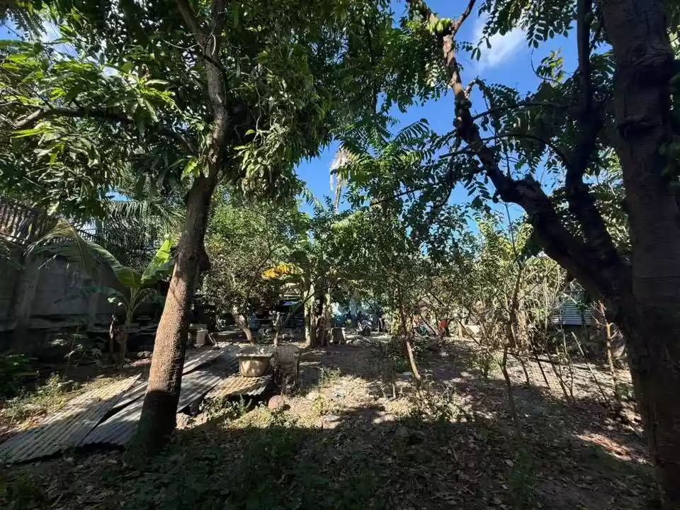 RUSH LOT FOR SALE: 500sqm - photo 3