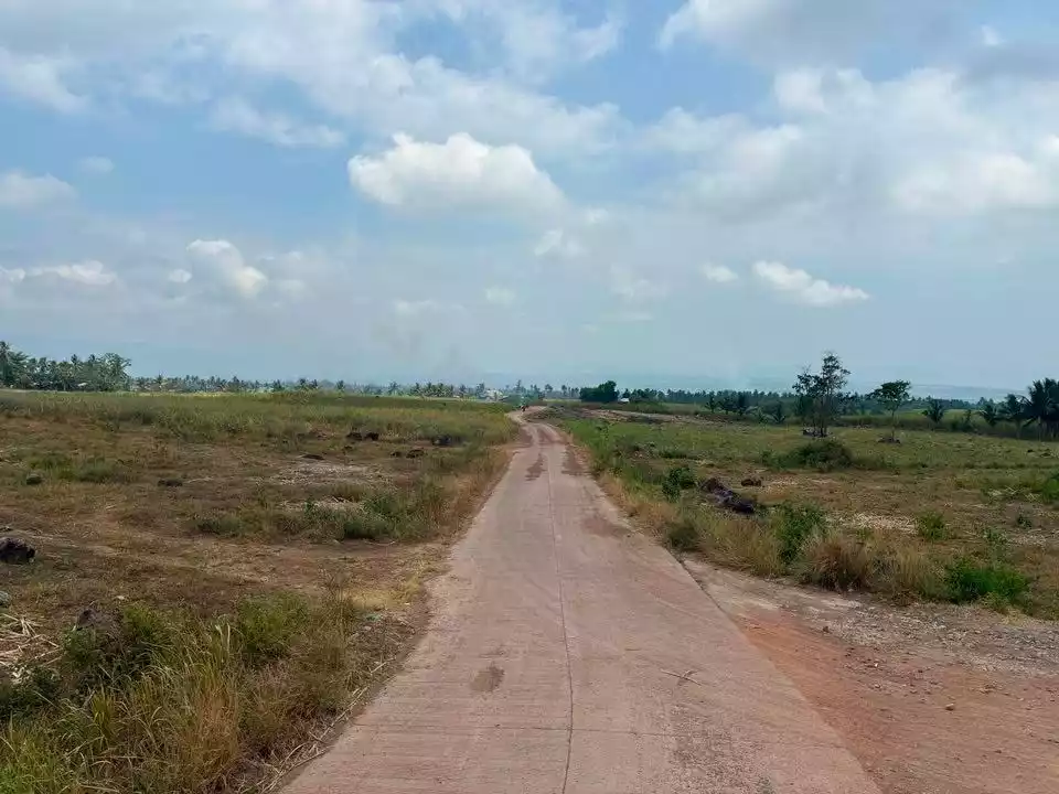 For Sale: 7,500sqm Lot in Jantianon, Amlan Negros Oriental Dumaguete – Seaview and Mountain Views - photo 2