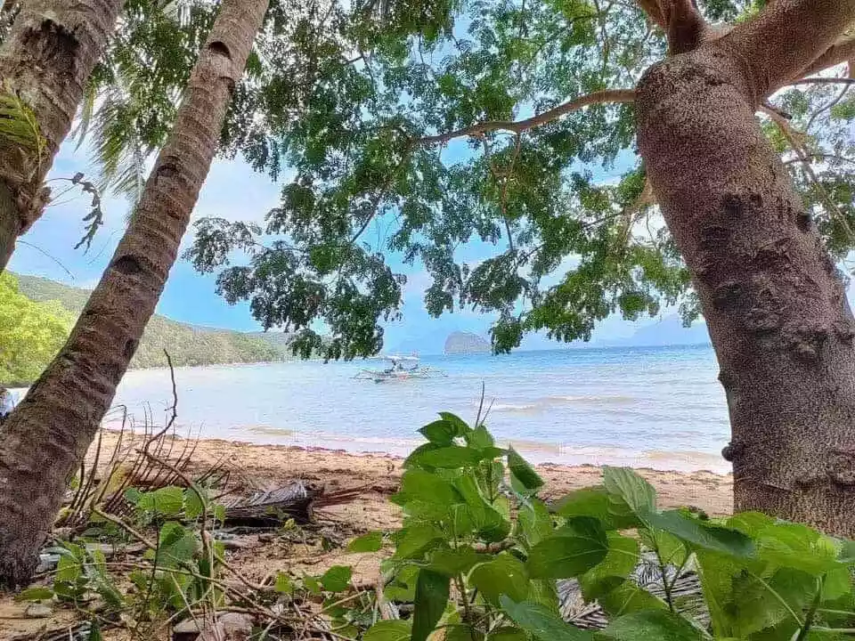 ELNIDO. PALAWAN - Exclusive Beachfront Lot for SALE - photo 3