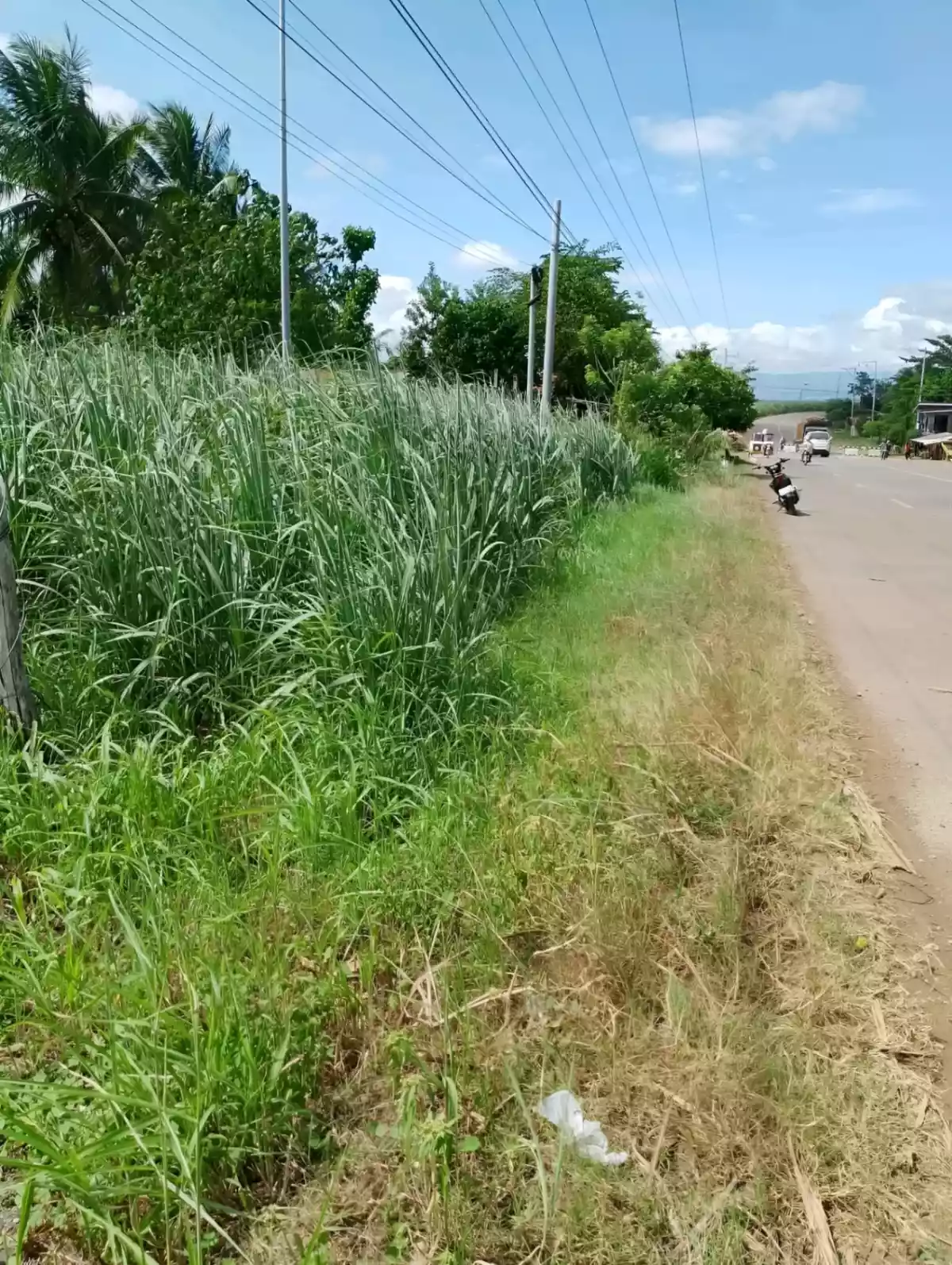 For Sale: 6,112 sqm Commercial Lot in San Nicolas, Don Carlos, Bukidnon – Near Airport - photo 3