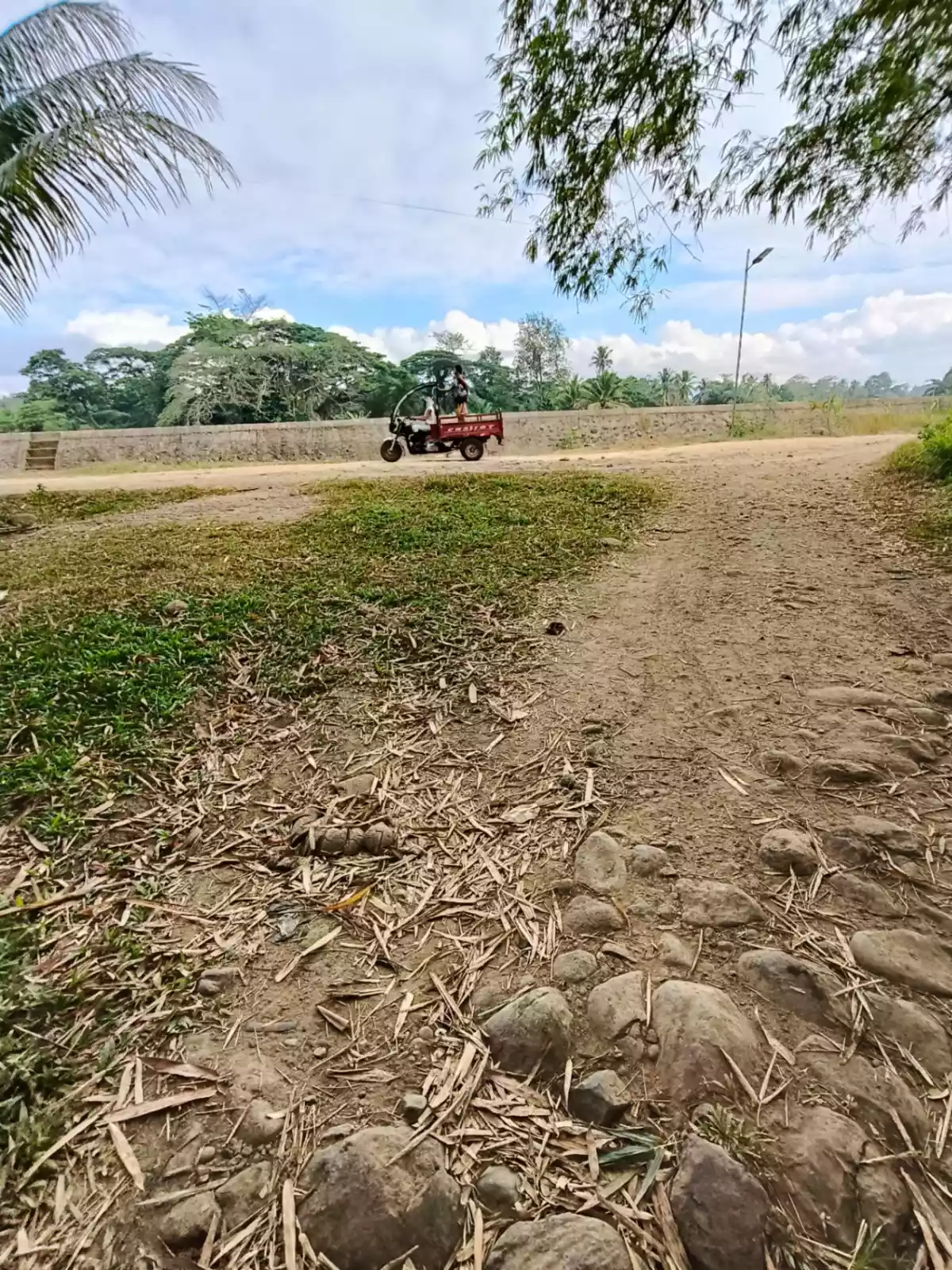 Farm Land for SALE! - photo 7