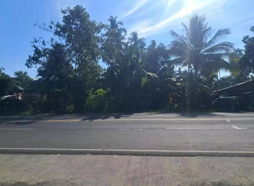 Titled Commercial Lot - photo 5