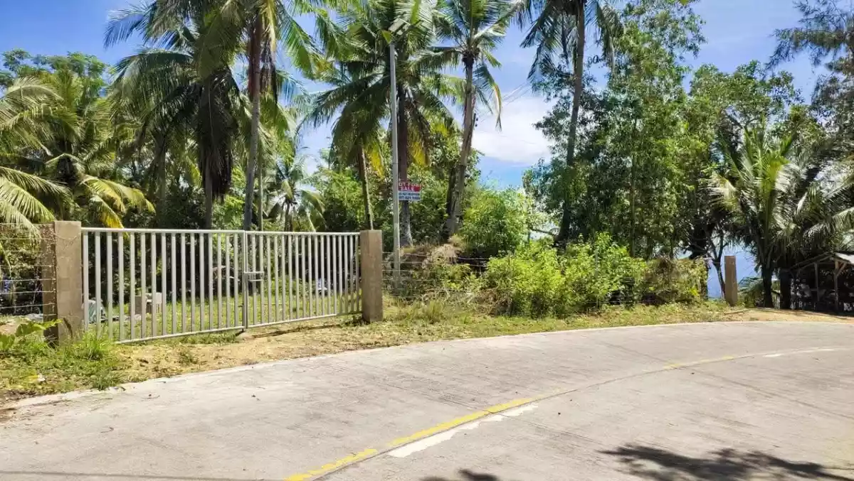 Prime 13,638 sqm Titled Lot for Sale in Boljoon, Cebu – Panoramic Mountain & Sea View - photo 6