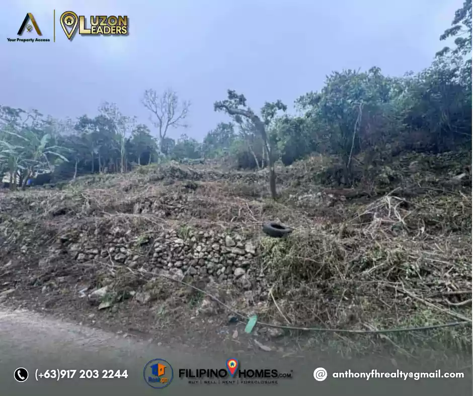 LOT FOR SALE in Tuba, Benguet - photo 3