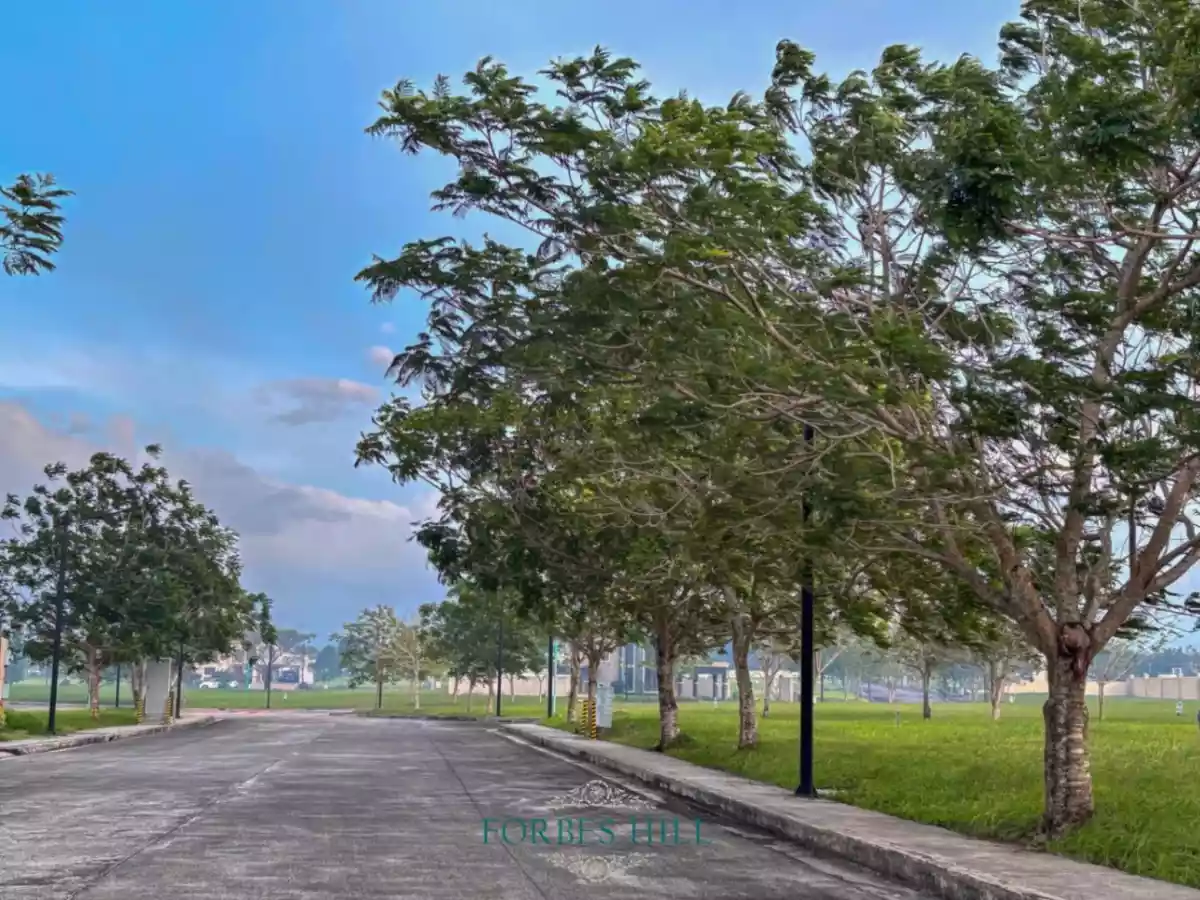 𝐋𝐎𝐓 𝐅𝐎𝐑 𝐒𝐀𝐋𝐄 – 𝟒𝟒𝟗 𝐒𝐐.𝐌.  Selling Price: ₱13,000,000 (negotiable) - photo 4