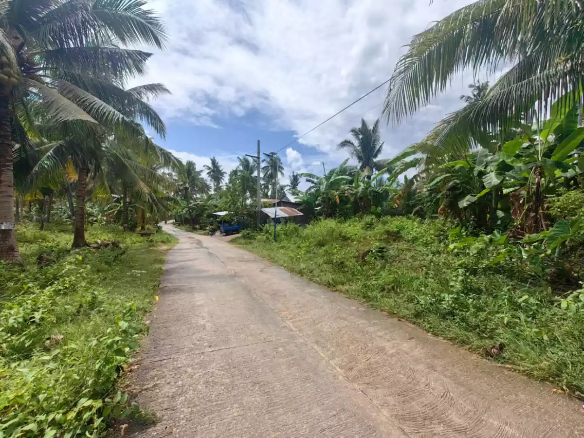 1,768 SQM FLAT TERRAIN LOT FOR SALE SAIN DALAGUETE CEBU - photo 3