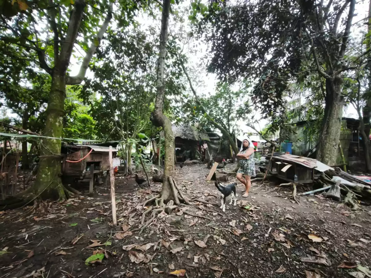 CORNER LOT FOR SALE (ALONG HIGHWAY) — Agricultural Lot in Guindapunan, Palo, Leyte — Photo 4