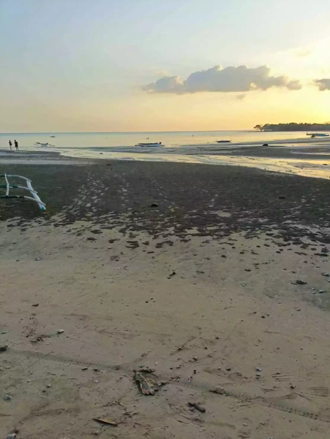 LOT FOR SALE IN PANGLAO BOHOL, PHILIPPINES - photo 6