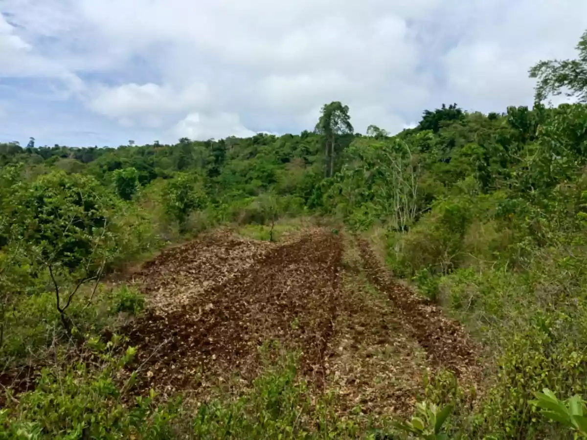 2,600 sqm inner lot for sale in Lazi, Siquijor - photo 4