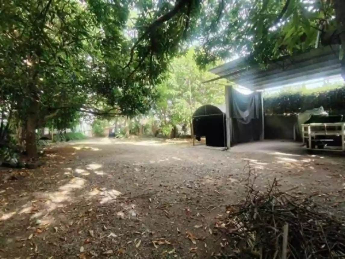 House and Lot in the heart of Tanjay City - photo 3