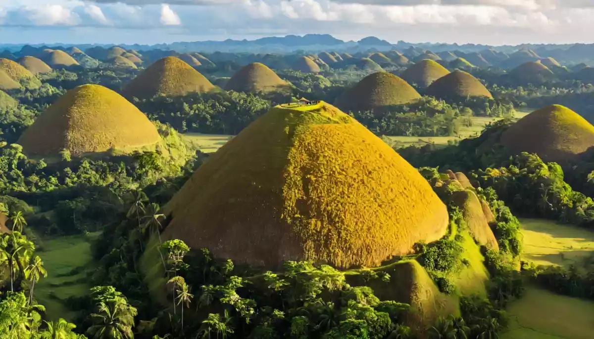 Bohol