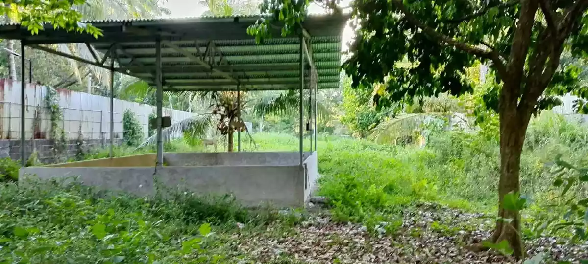 For Sale: Prime Farm Lot in Tagakpan, Davao City – Concrete Fence, Road Frontage - photo 6