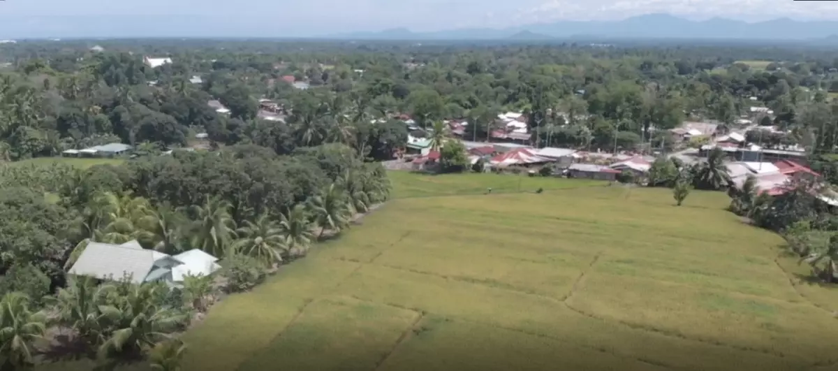 For Sale: Agricultural Lot in Matti, Digos — 40000 sqm along road — Agricultural Lot in Digos, Davao del Sur, 8002 — Photo 7