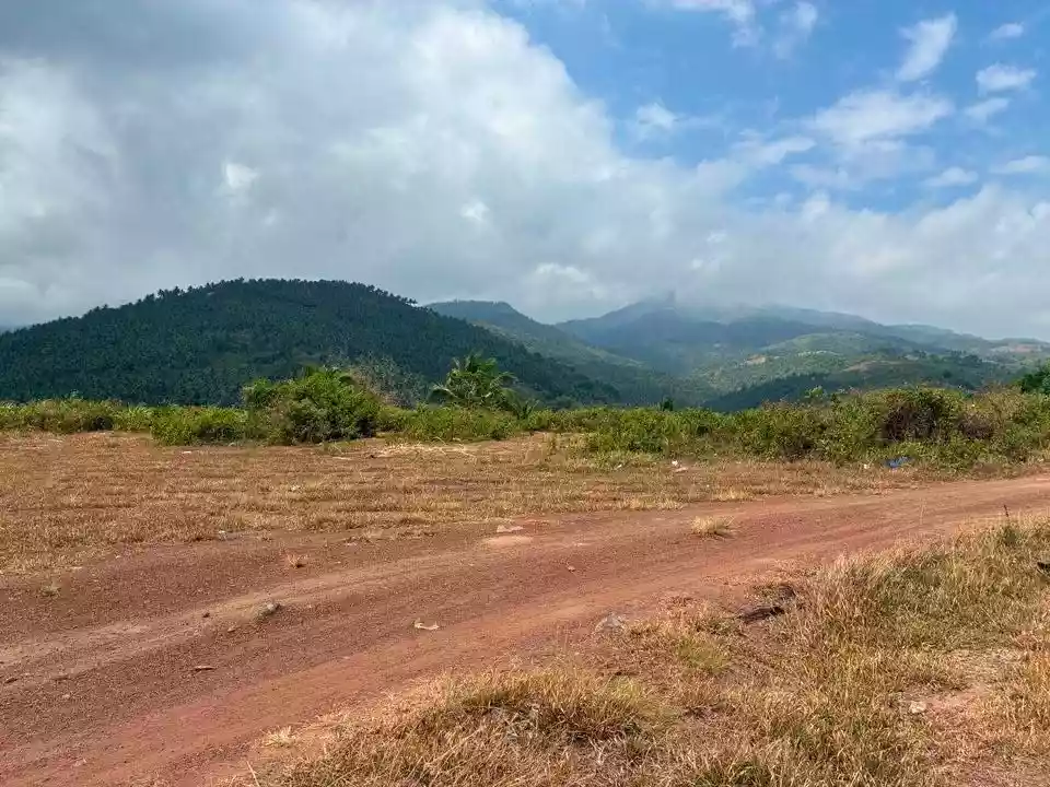For Sale: 7,500sqm Lot in Jantianon, Amlan Negros Oriental Dumaguete – Seaview and Mountain Views - photo 6
