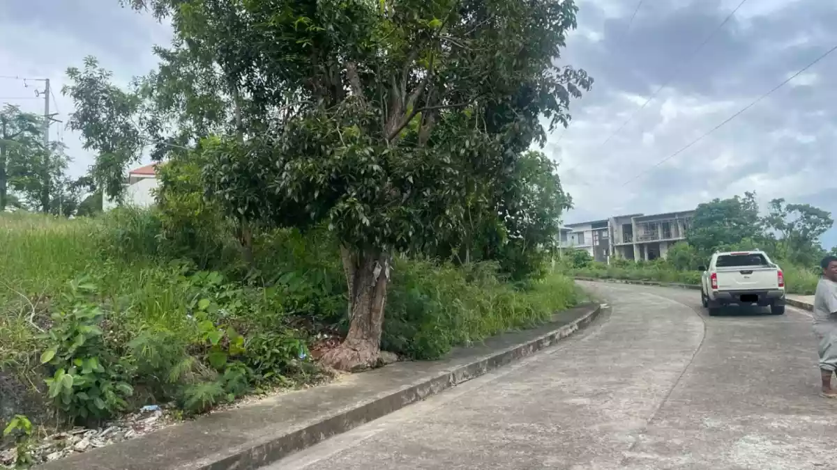 Lot for Sale in Vista Grande with City View — Residential Lot in Talisay City, Cebu, 6045 — Photo 4