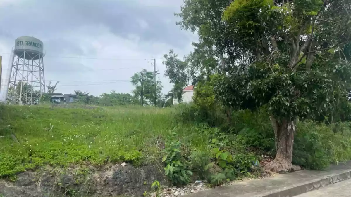 Lot for Sale in Vista Grande with City View — Residential Lot in Talisay City, Cebu, 6045 — Photo 5