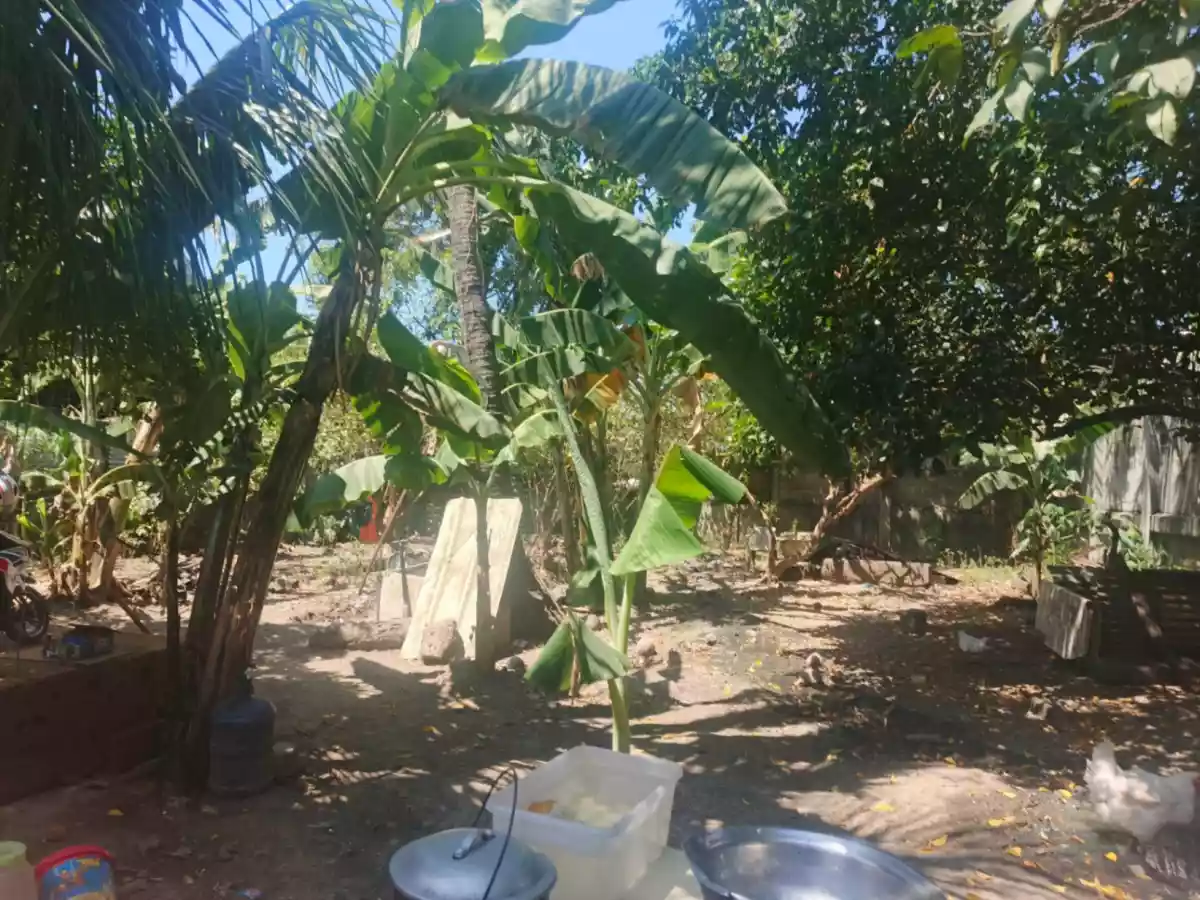 500 sqm Lot for Sale in Mohon, Talisay City- ONLY 5.5M - photo 3