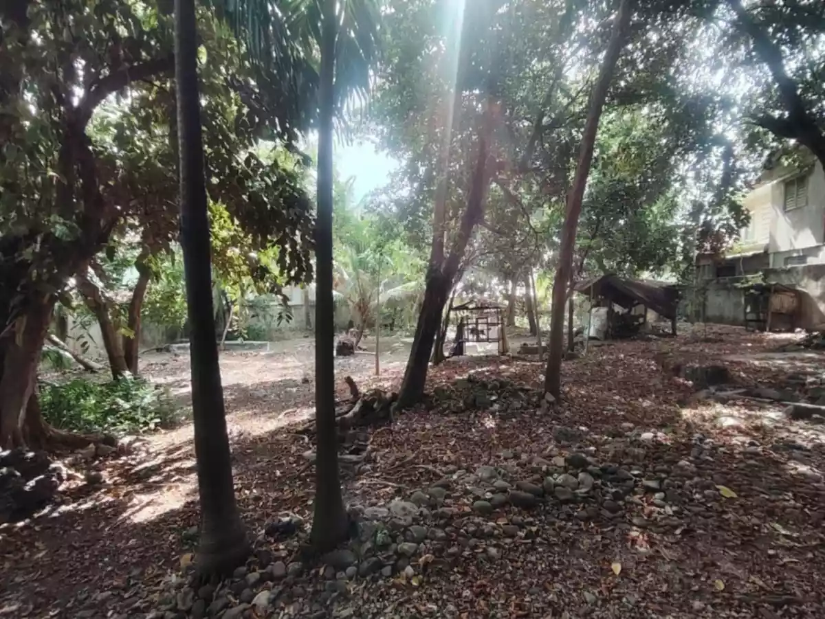 House and Lot in the heart of Tanjay City - photo 5