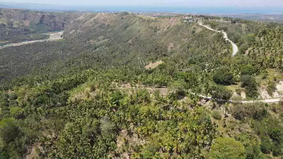 For Sale: Agricultural Lot in Bagacay, Alabel — 37292 sqm — Agricultural Lot in Alabel, Sarangani Province, Bagacay — Photo 6