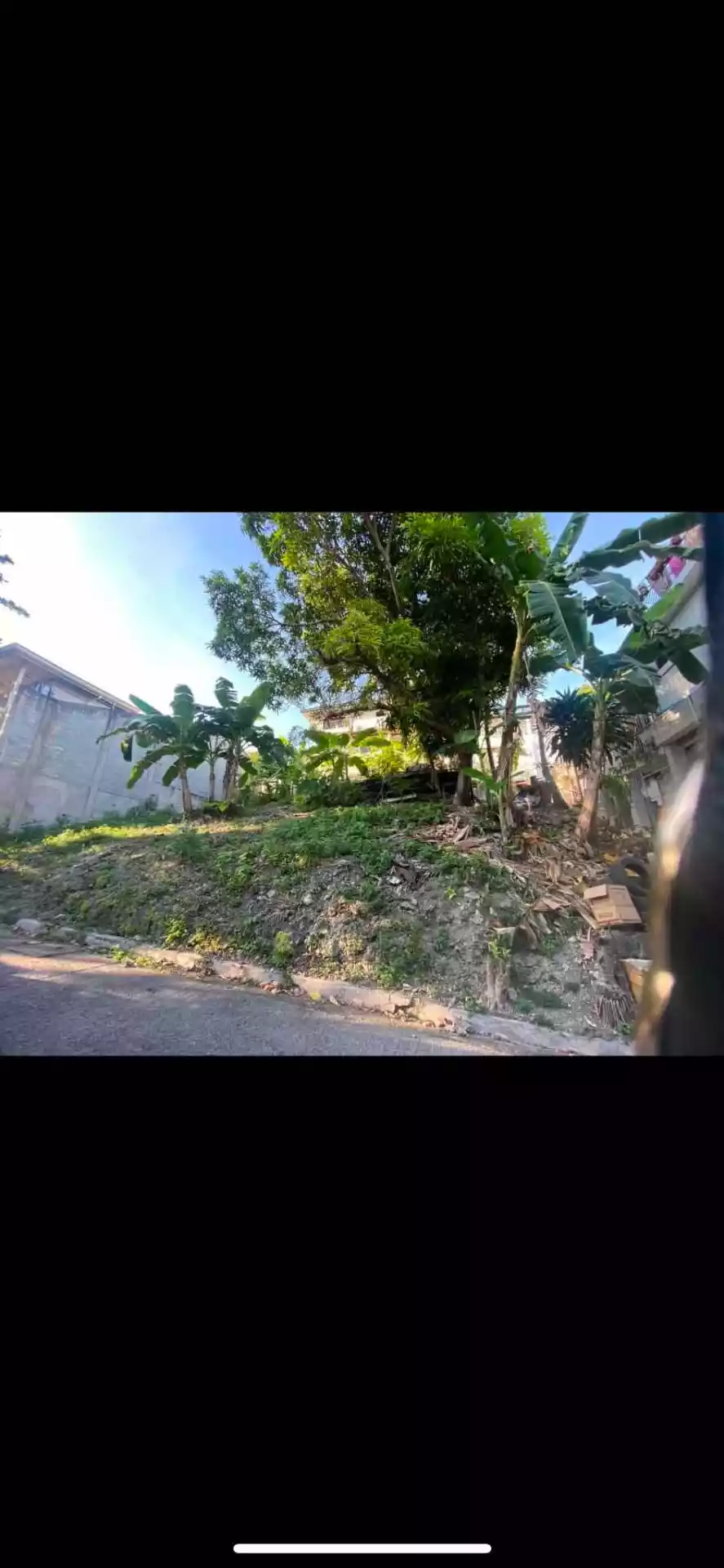 WHITE HILLS BANAWA LOT FOR SALE - photo 3