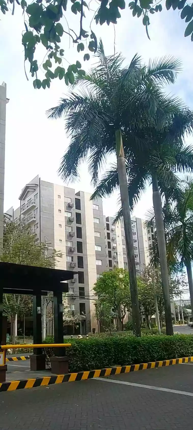 2 BR condo unit for sale - photo 5