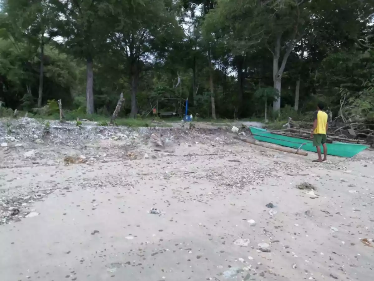 For Sale: Beach Lot in Binduyan, Puerto Princesa City — 6000 sqm — Beach Lot in Puerto Princesa City, Palawan, 5300 — Photo 2