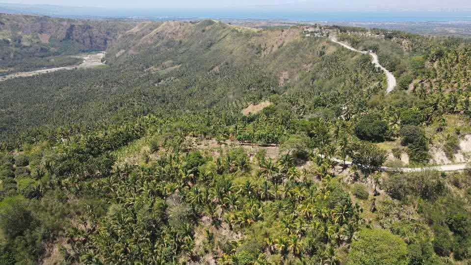 🌱 Green Investment Opportunity: Farmlot with Mixed Fruit & Timber Trees - photo 5