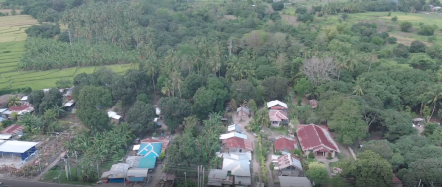 4 Hectares Prime Land in Digos – Along Road | Ideal for Farming or Future Development - photo 4