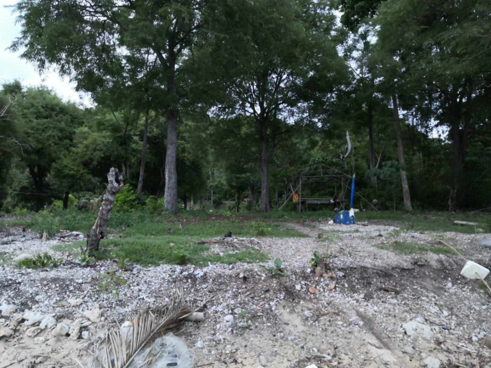 Prime Beachfront Lot Along National Highway for SALE - photo 6