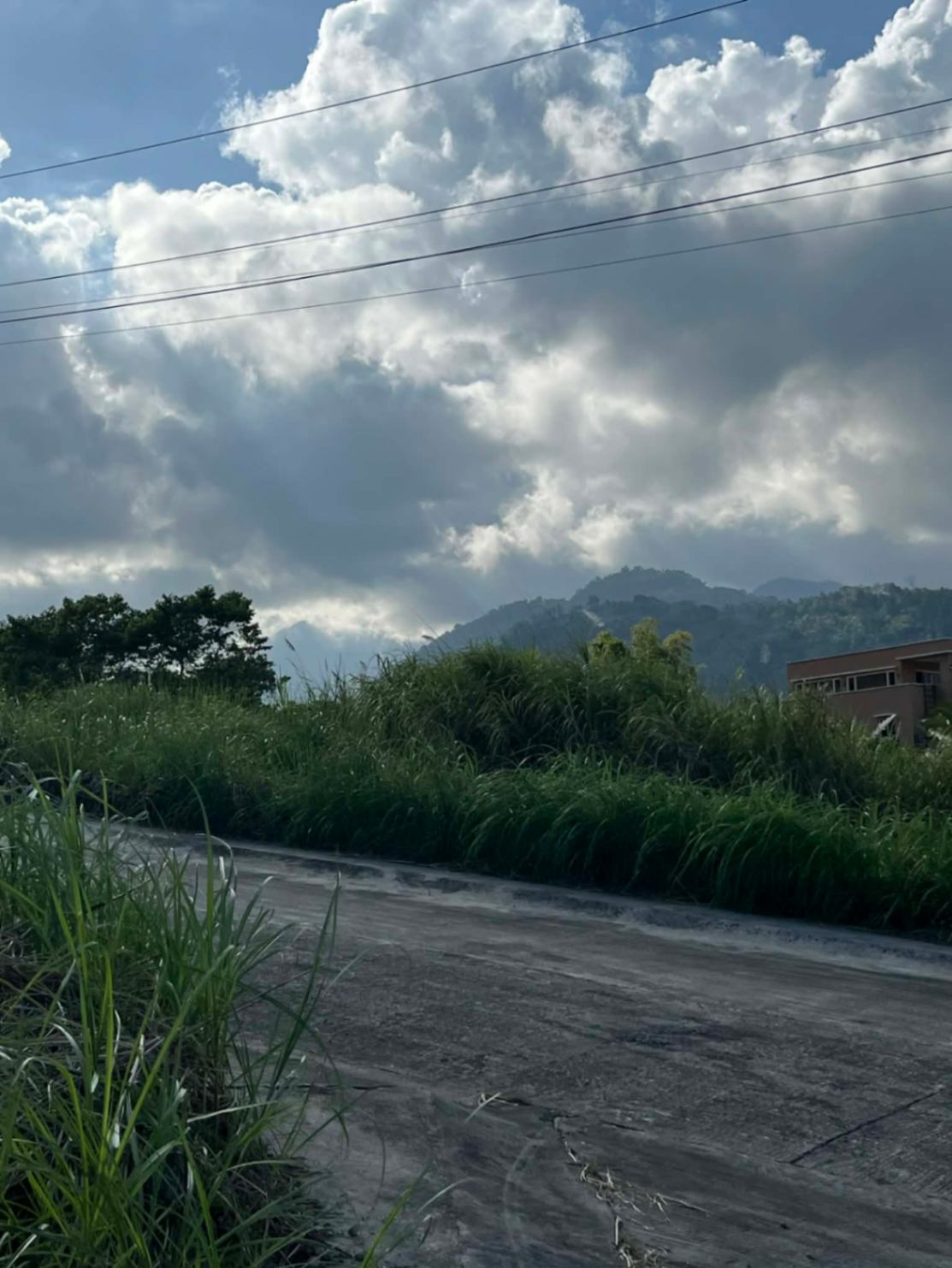 Tierra Alta 204sqm Lot Valencia Dumaguete Negros Oriental - photo 4