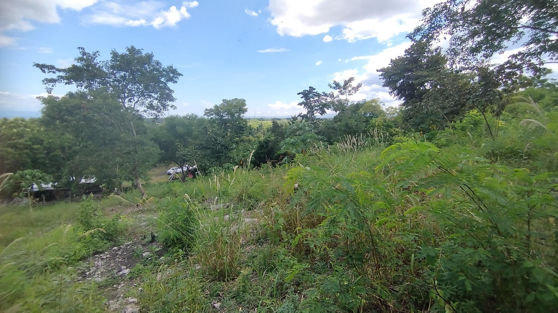 Farm Lot For Sale in General Santos City Soccsksargen near Leyson Park, NGCP and Hill VI - photo 5