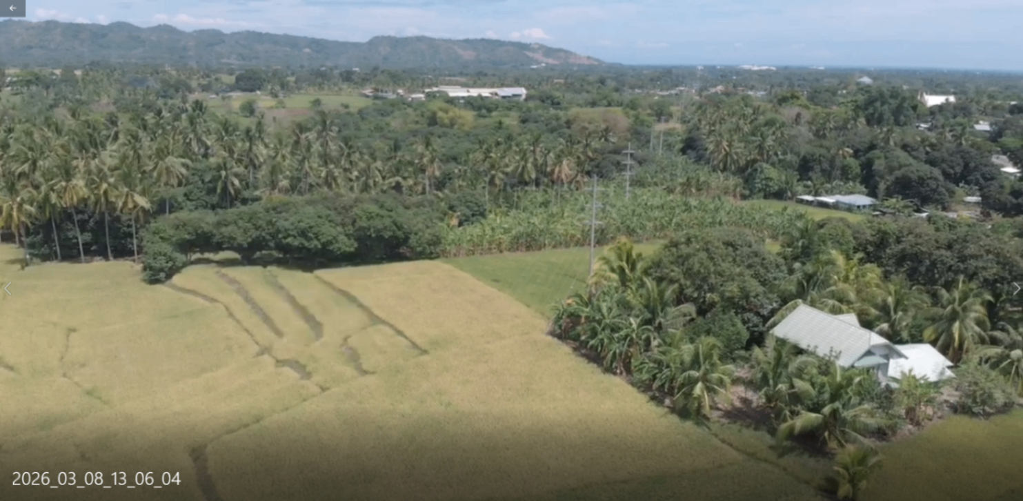 4 Hectares Prime Land in Digos – Along Road | Ideal for Farming or Future Development - photo 6