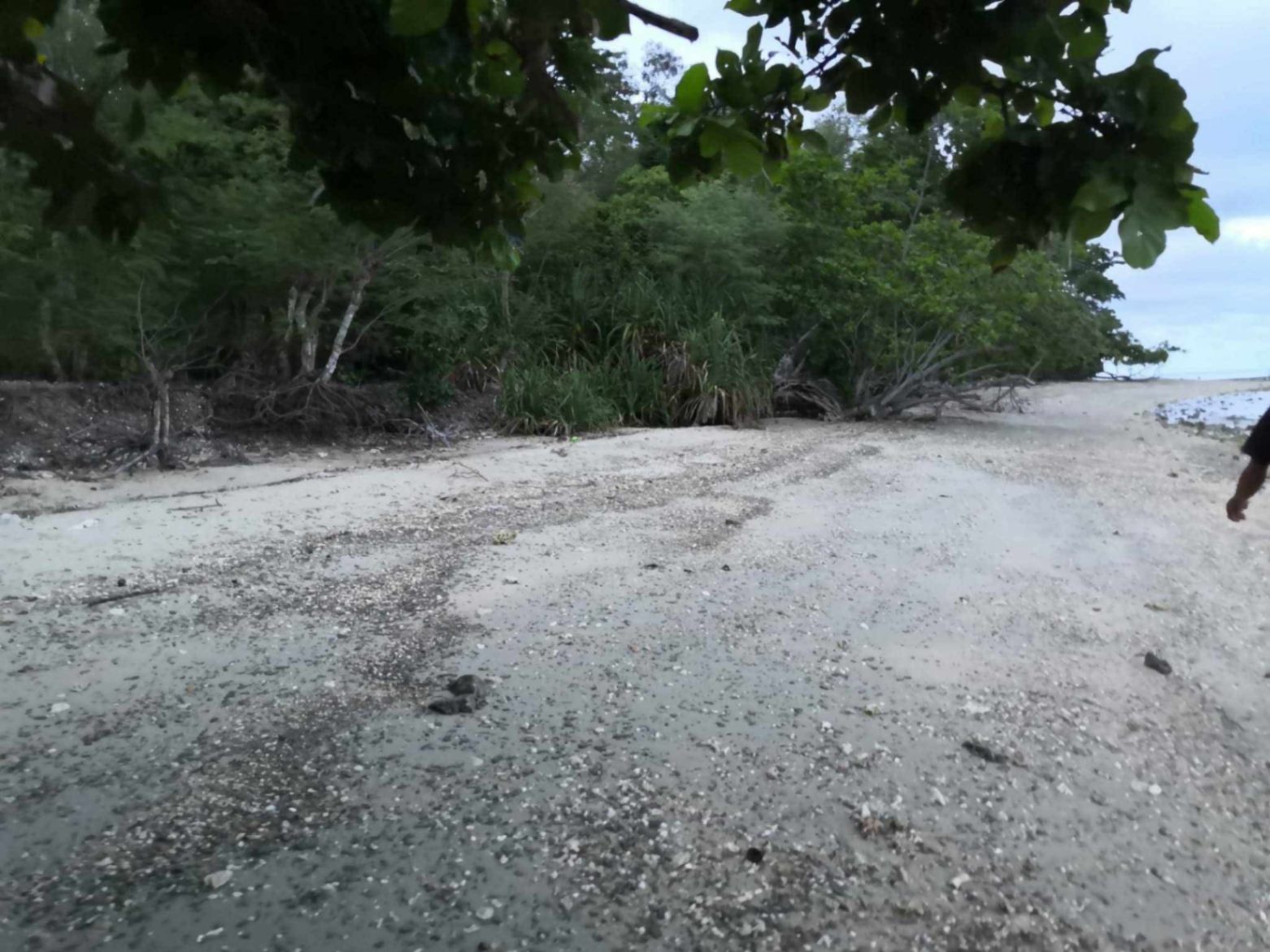 Prime Beachfront Lot Along National Highway for SALE - photo 5