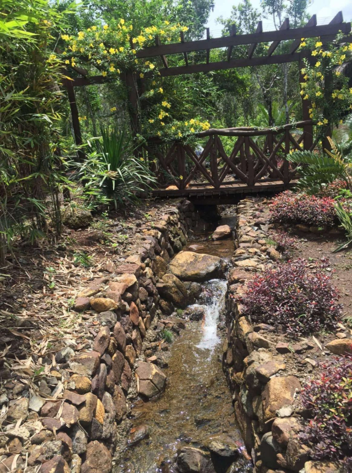 PALAWAN HOUSE AND LOT NEAR THE BEACH - FOR SALE - photo 6