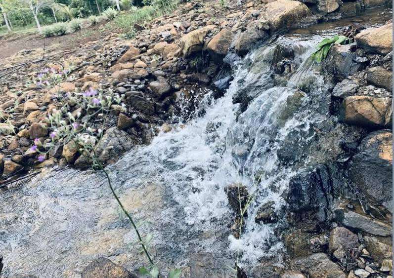 PALAWAN HOUSE AND LOT NEAR THE BEACH - FOR SALE - photo 4