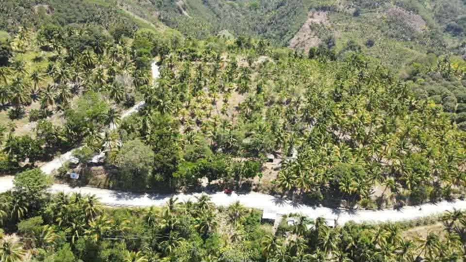 🌱 Green Investment Opportunity: Farmlot with Mixed Fruit & Timber Trees - photo 4