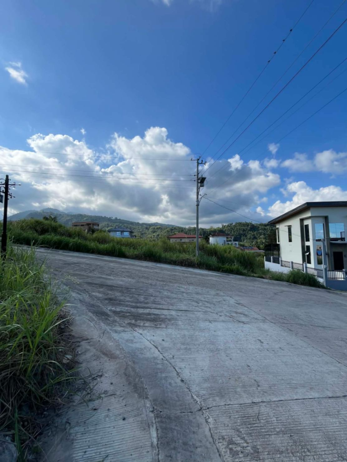 Tierra Alta 204sqm Lot Valencia Dumaguete Negros Oriental - photo 6