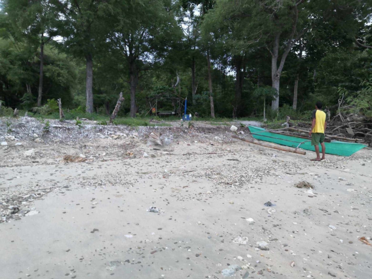 Prime Beachfront Lot Along National Highway for SALE - photo 2