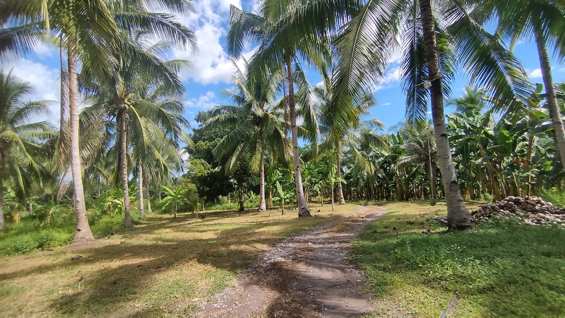 Farm Lot For Sale in General Santos City Soccsksargen near Leyson Park, NGCP and Hill VI - photo 4