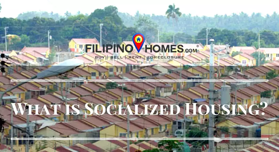 What is Socialized Housing?