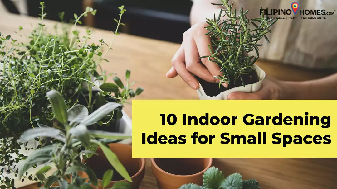 10 Indoor Gardening Ideas for Small Spaces