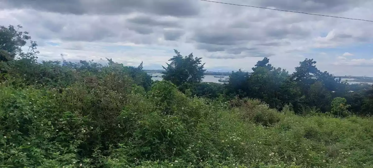 Lot for Sale-Overlooking Mactan channel - photo 3