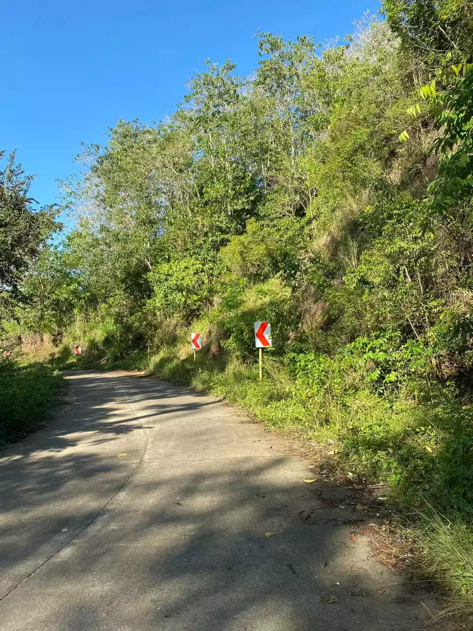 Over Looking LOT FOR SALE along Brgy Road Bayanga, Cagayan de Oro City — Agricultural Lot in Cagayan de Oro, Misamis Oriental, Philippines — Photo 7